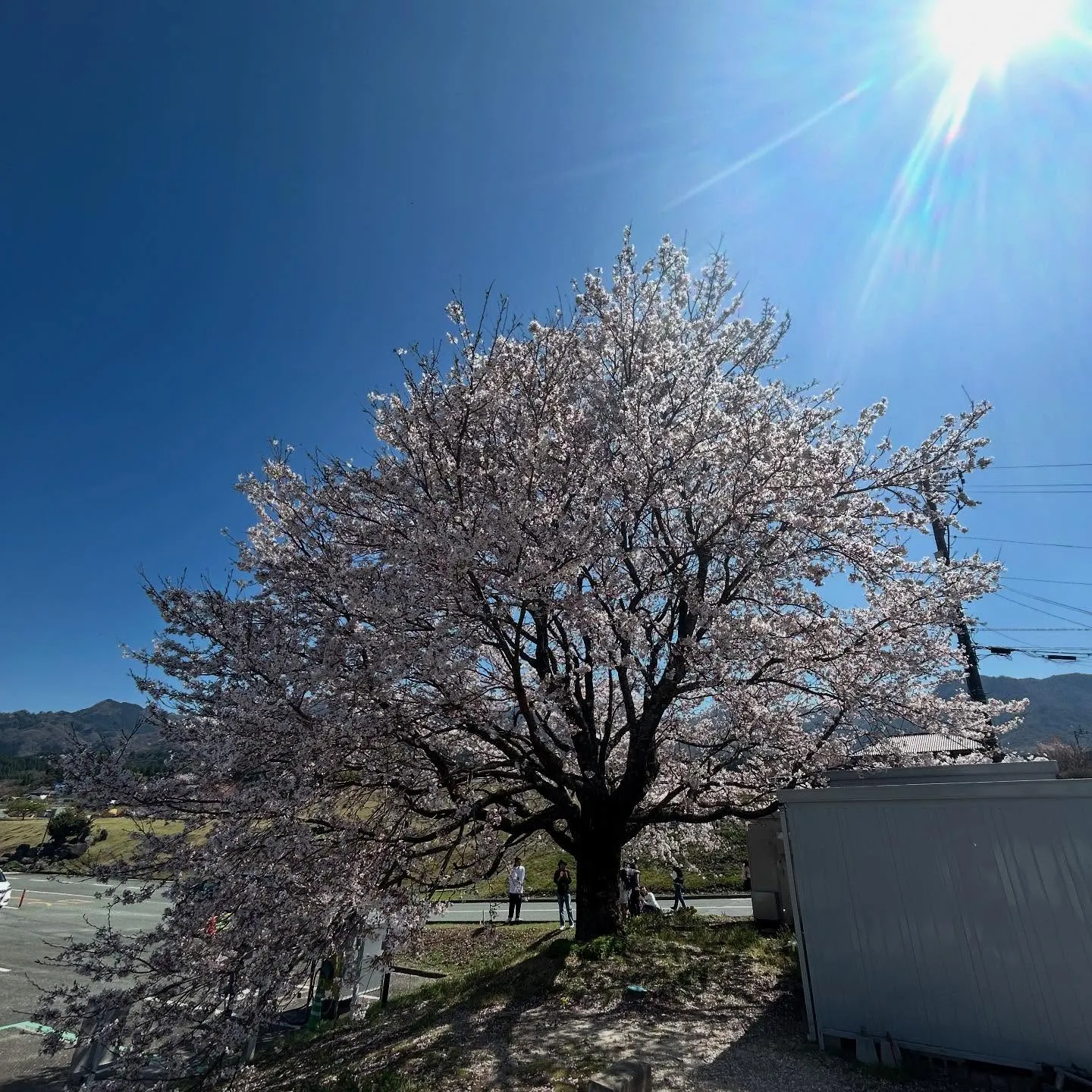 Dr.リンパ®︎の日